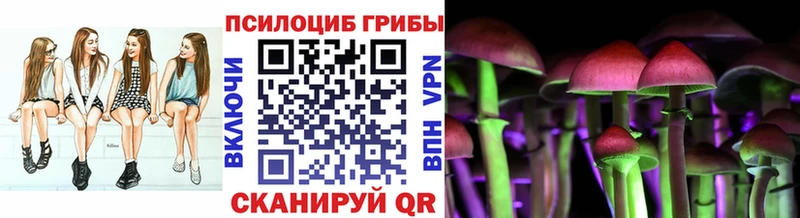 Галлюциногенные грибы Psilocybe  Купить закладки  Белово 